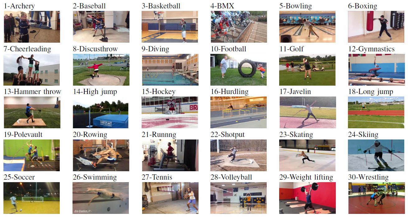 Various sports action classifications