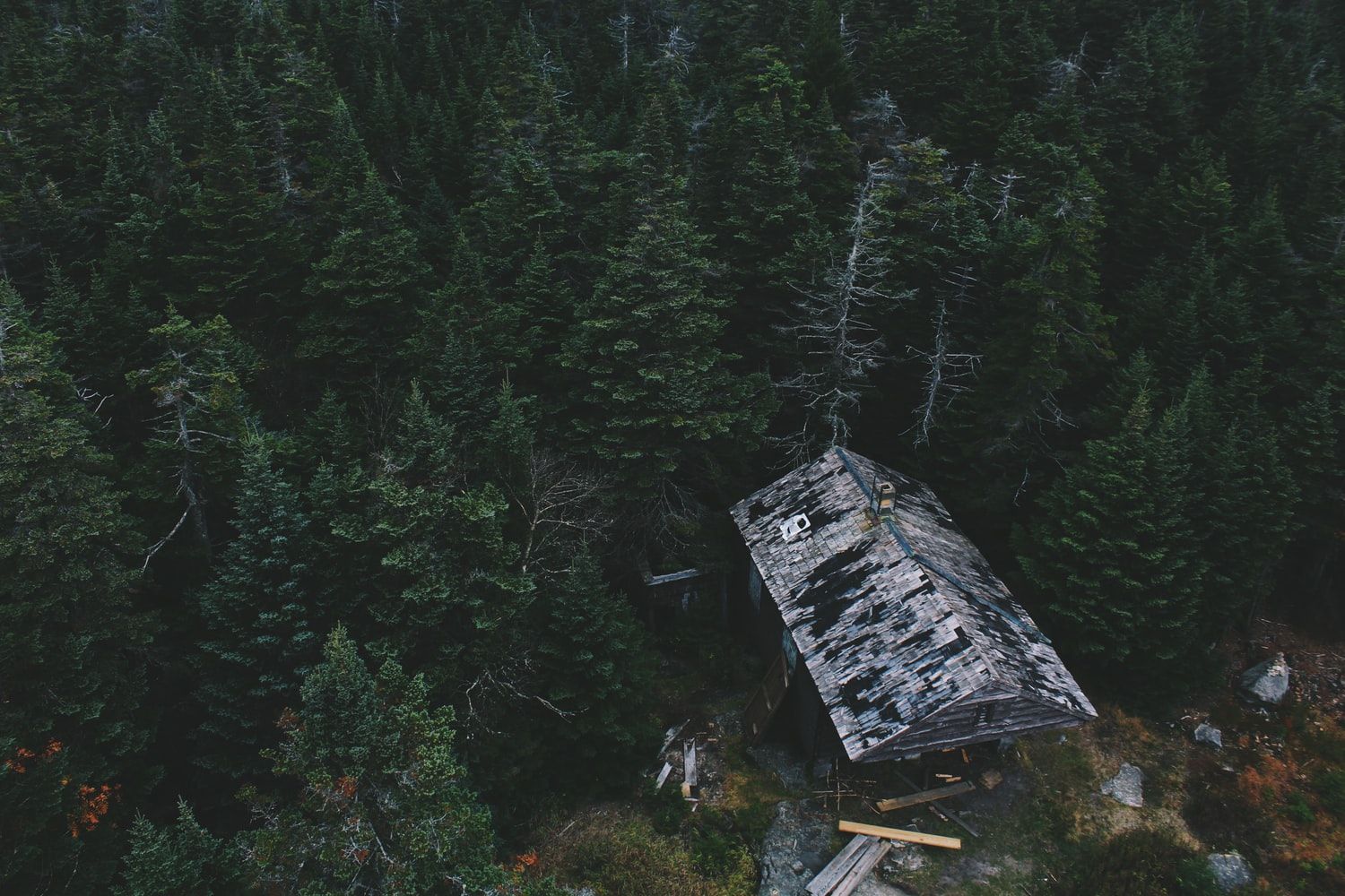 roof of a home in jungle