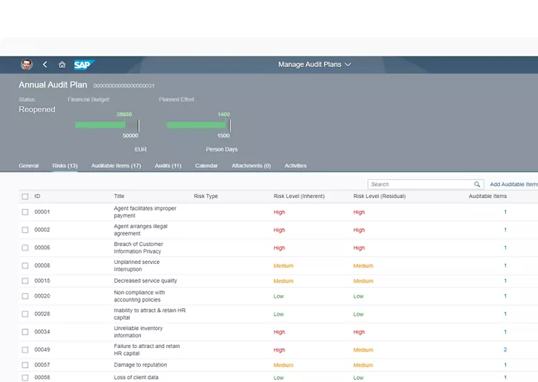 SAP Audit Management