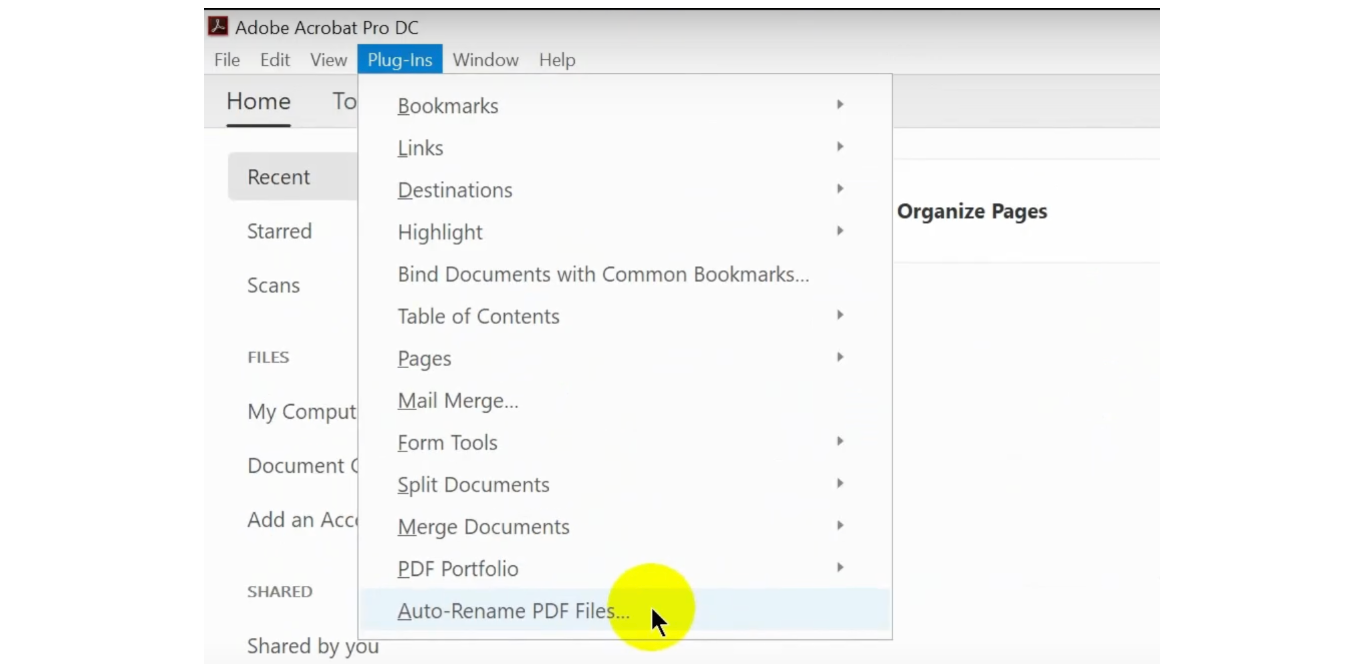 rename pdf files based on content free